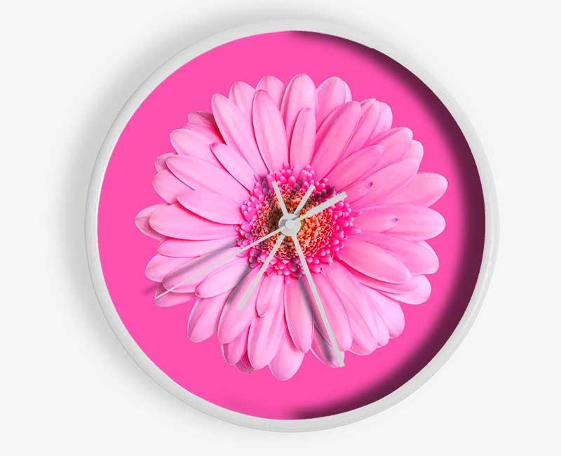 Baby Pink On Pink Gerbera Clock - Wallart-Direct UK