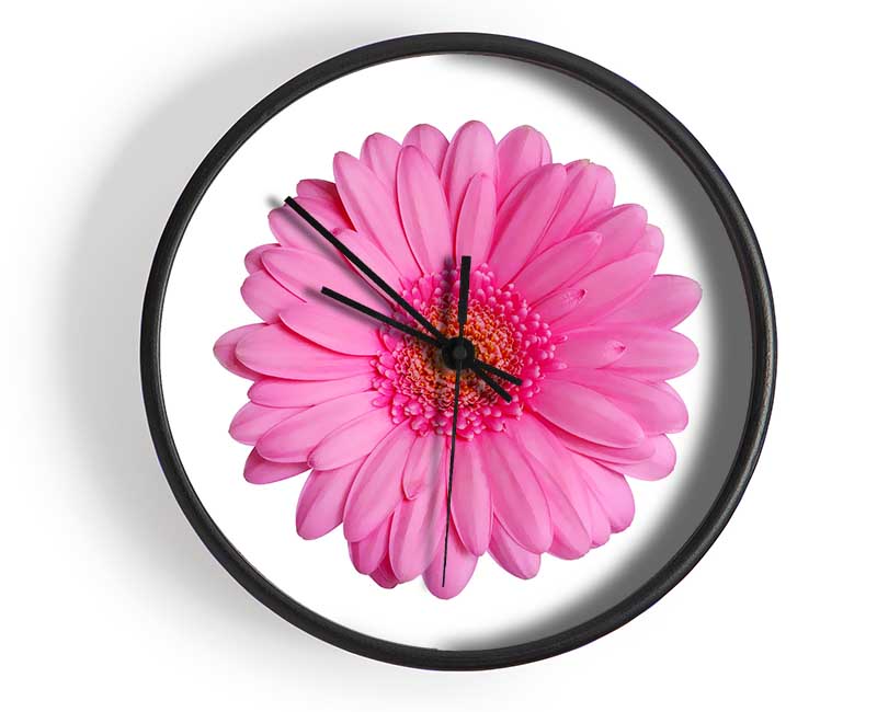 Baby Pink Gerbera Petals Clock - Wallart-Direct UK