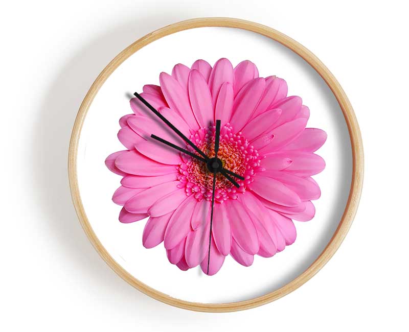 Baby Pink Gerbera Petals Clock - Wallart-Direct UK