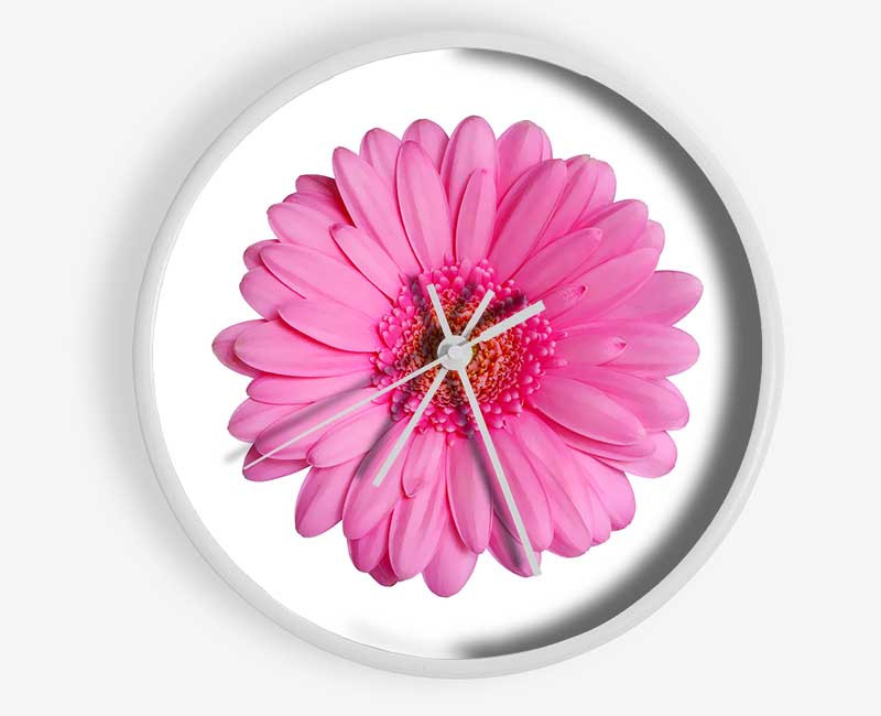 Baby Pink Gerbera Petals Clock - Wallart-Direct UK