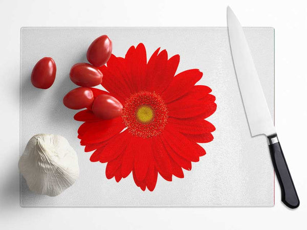 Vibrant Red Gerbera Glass Chopping Board