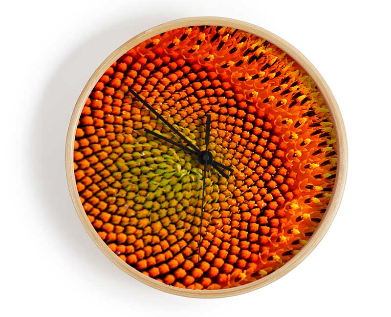 Stunning Sunflower Close-Up Clock - Wallart-Direct UK