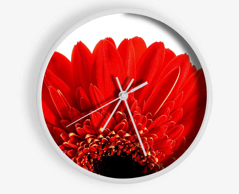 Red Gerbera Head Clock - Wallart-Direct UK