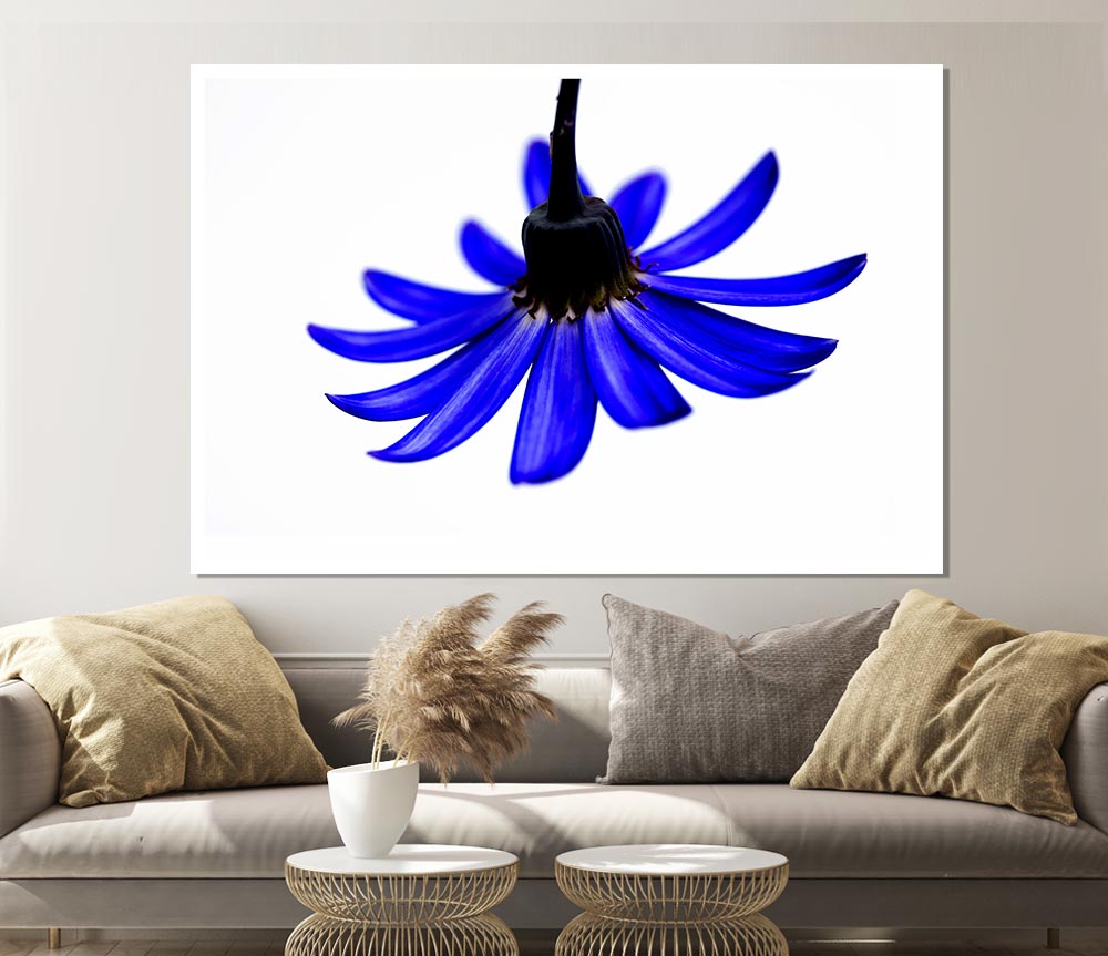 Blue Petals Print Poster Wall Art