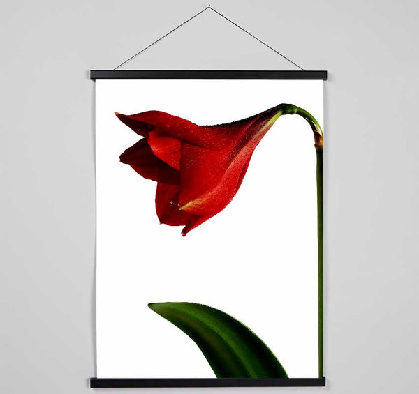 Stunning Red Hanging Poster - Wallart-Direct UK