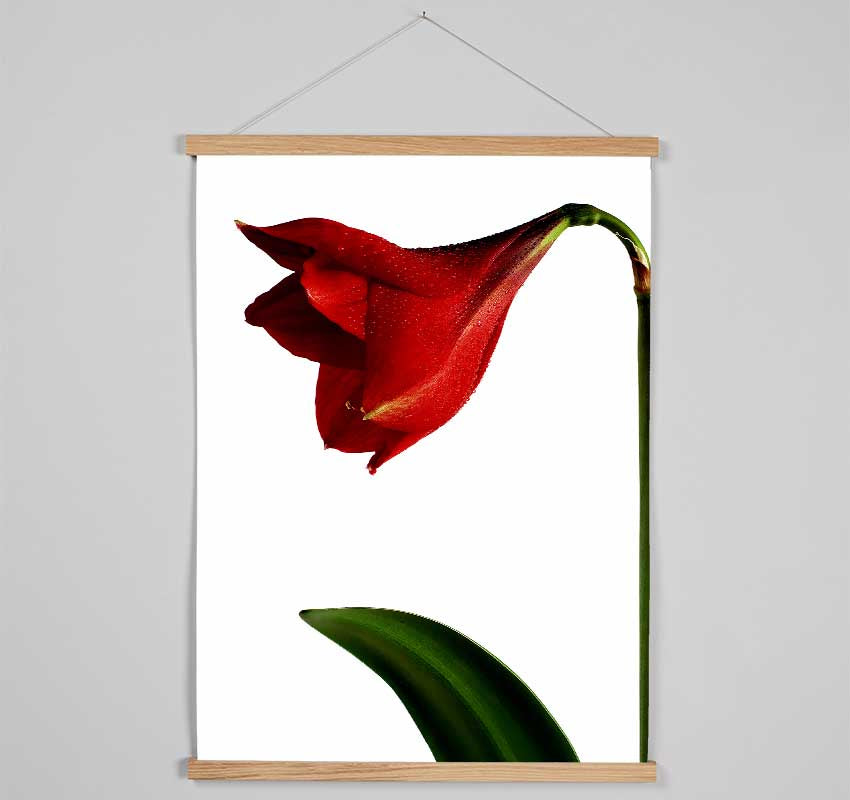 Stunning Red Hanging Poster - Wallart-Direct UK