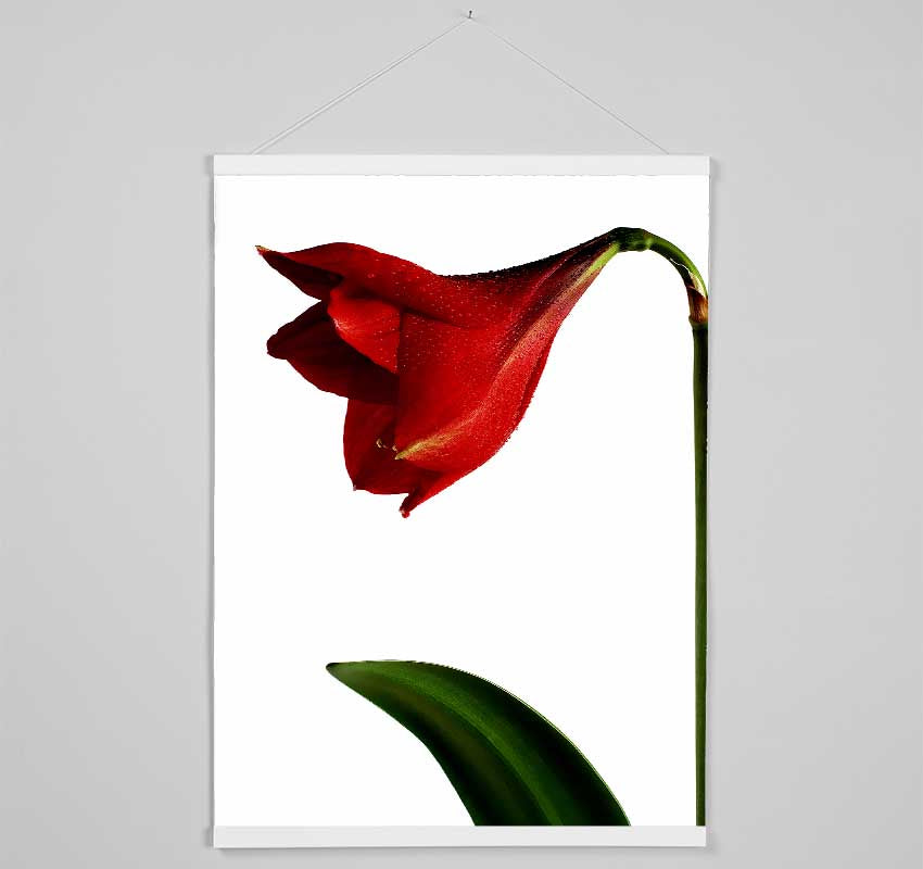 Stunning Red Hanging Poster - Wallart-Direct UK