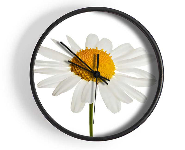 White Daisy Stem Clock - Wallart-Direct UK