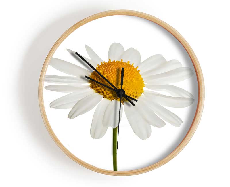 White Daisy Stem Clock - Wallart-Direct UK