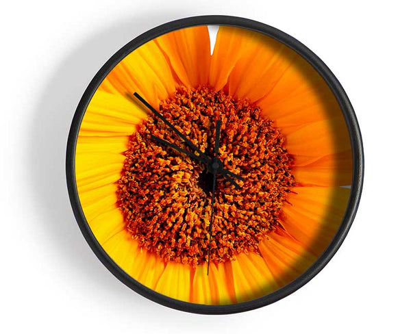 Sunflower Petals Clock - Wallart-Direct UK