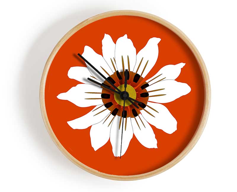 White Daisy Oranges Clock - Wallart-Direct UK