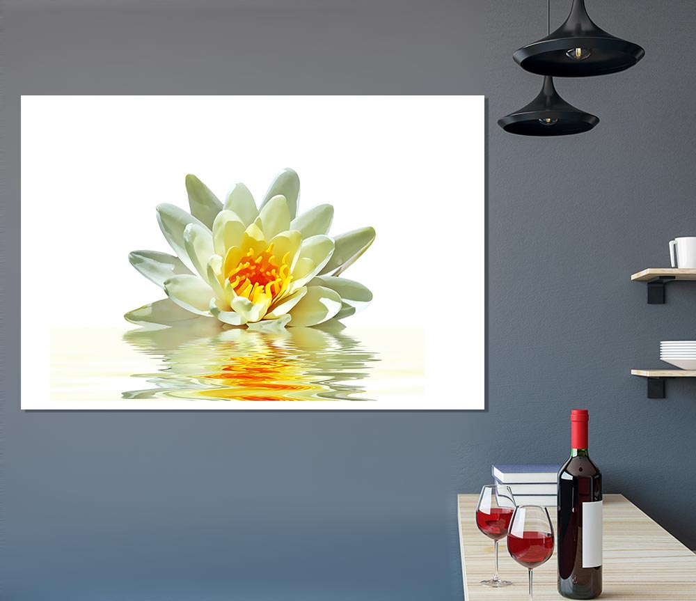 White Water Lily Reflection Petals Print Poster Wall Art