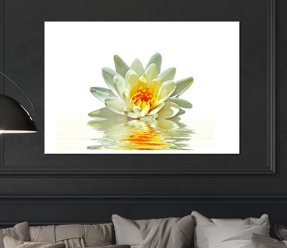 White Water Lily Reflection Petals Print Poster Wall Art