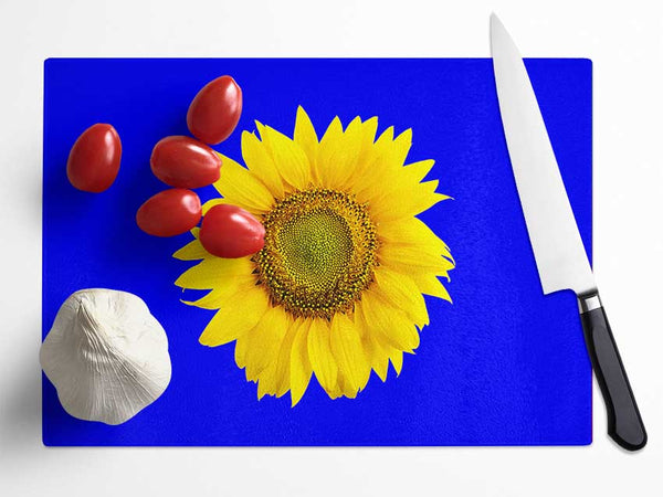 Sunflower Head On Blue Glass Chopping Board