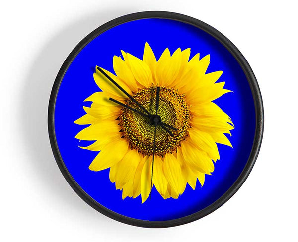 Sunflower Head On Blue Clock - Wallart-Direct UK