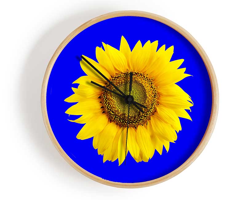 Sunflower Head On Blue Clock - Wallart-Direct UK