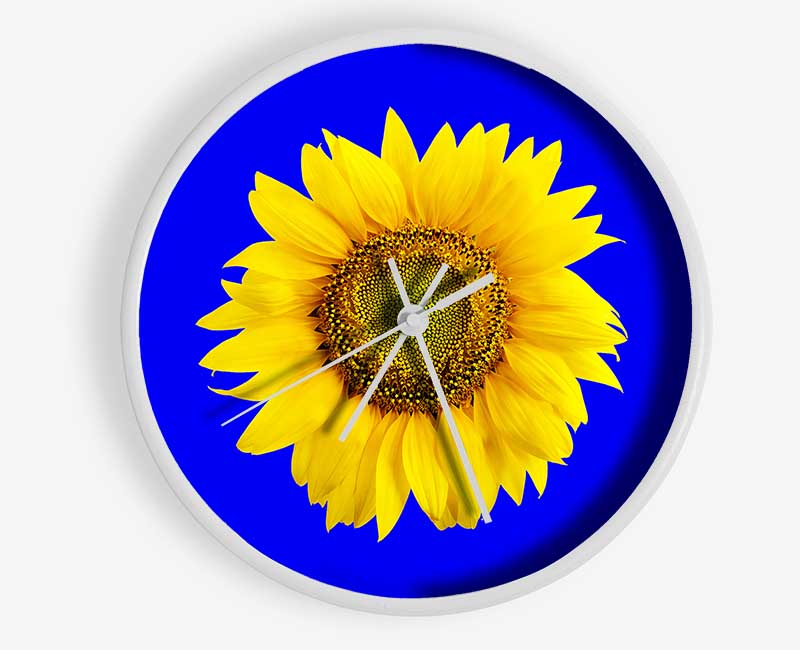 Sunflower Head On Blue Clock - Wallart-Direct UK