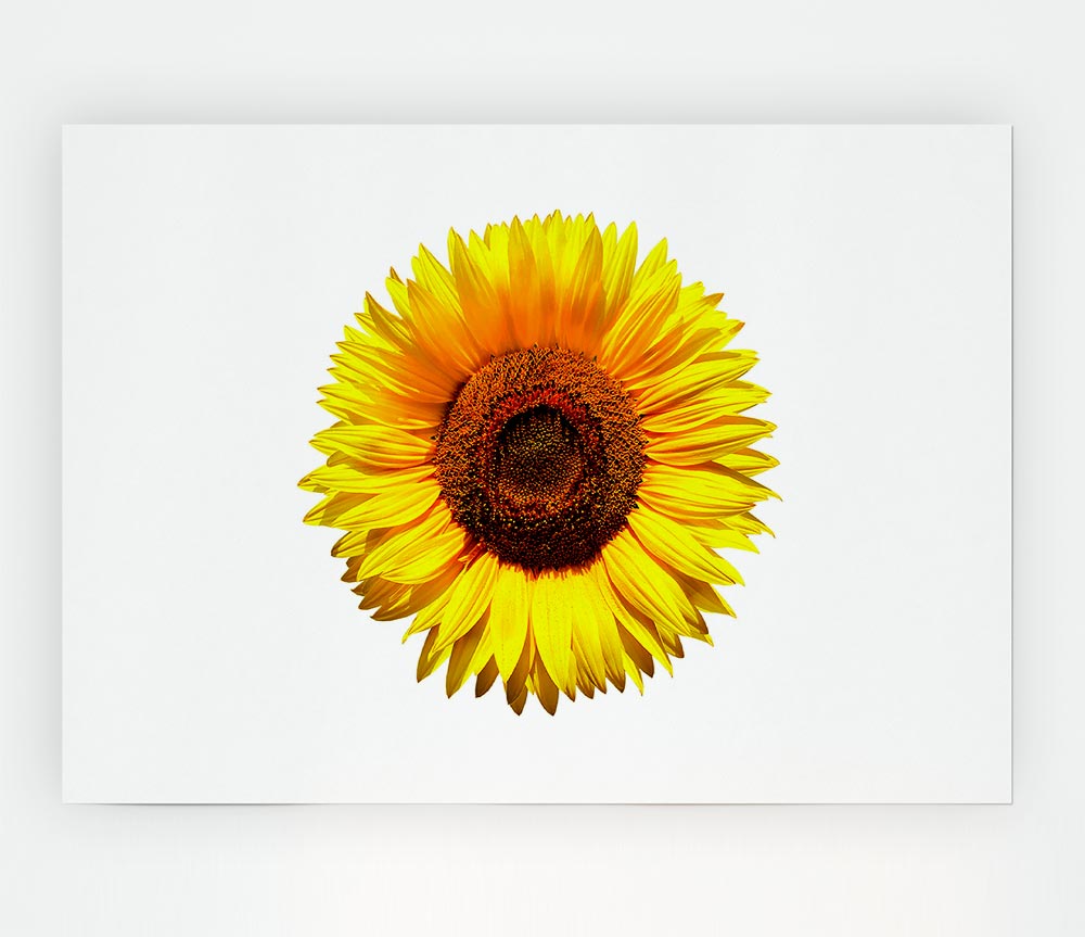 Yellow Sunflower Head Print Poster Wall Art