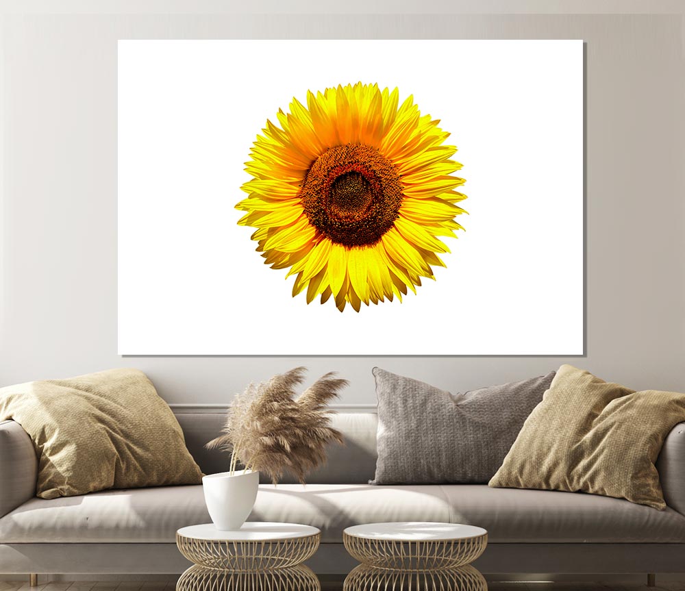 Yellow Sunflower Head Print Poster Wall Art