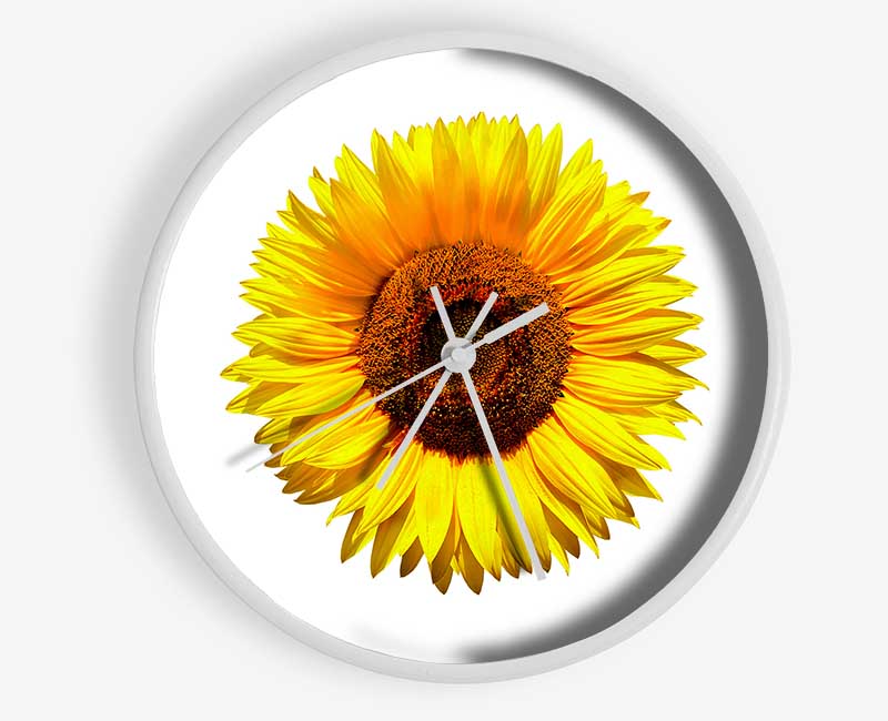 Yellow Sunflower Head Clock - Wallart-Direct UK