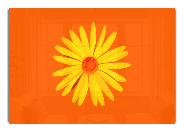 Yellow Daisy Face On Orange