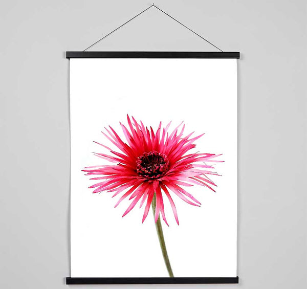 Pink Feather Flower Hanging Poster - Wallart-Direct UK