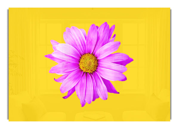 Pink Daisy On Yellow Flowers Canvasb