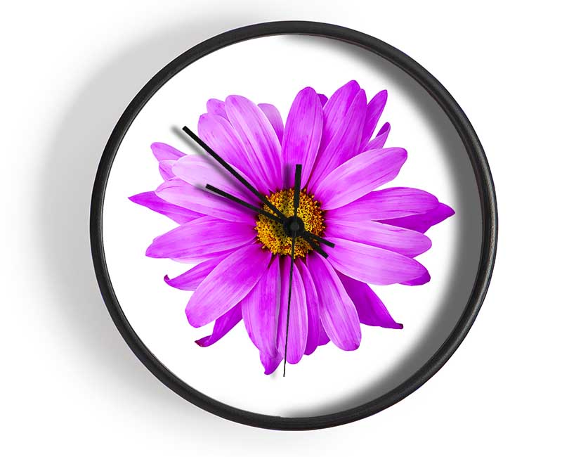 Pink Daisy On White Clock - Wallart-Direct UK