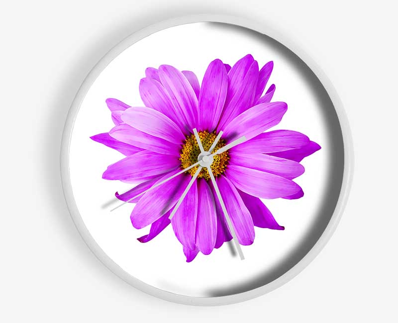 Pink Daisy On White Clock - Wallart-Direct UK