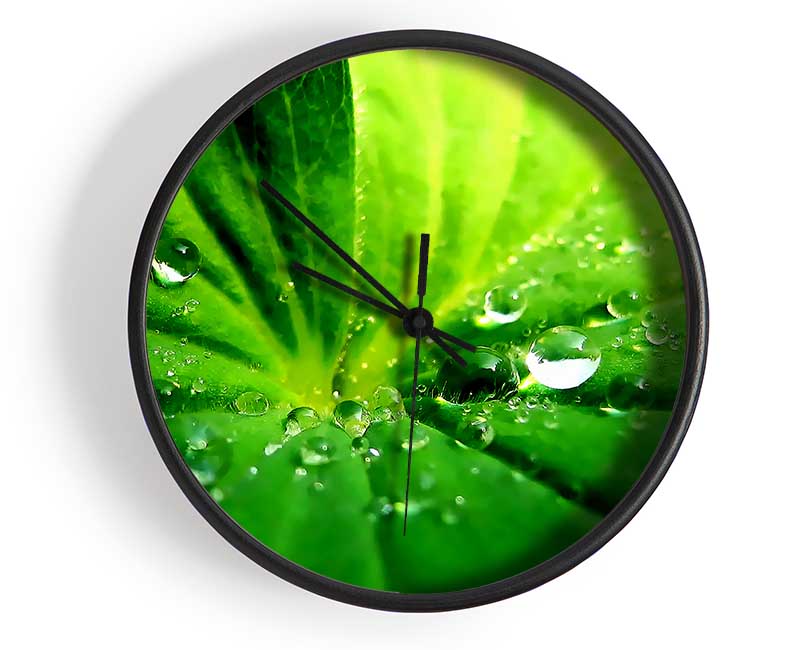 Sunlit Leaf Droplets Clock - Wallart-Direct UK