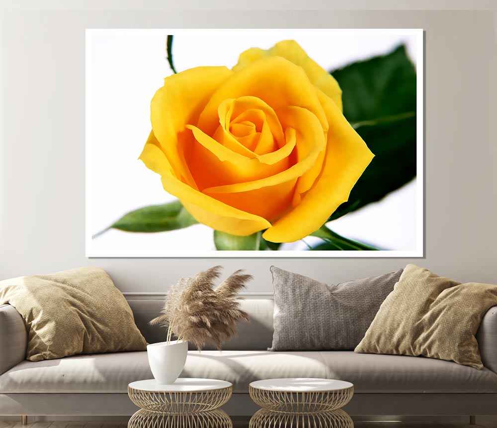 Yellow Rose Print Poster Wall Art