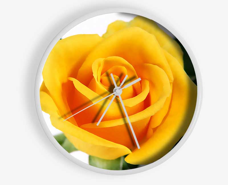 Yellow Rose Clock - Wallart-Direct UK