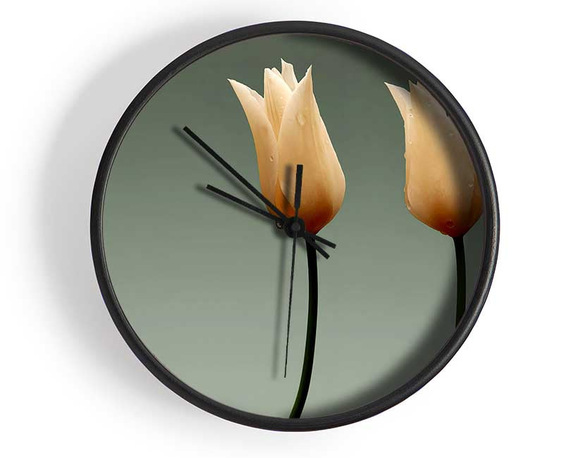 Stunning Cream Tulips Clock - Wallart-Direct UK