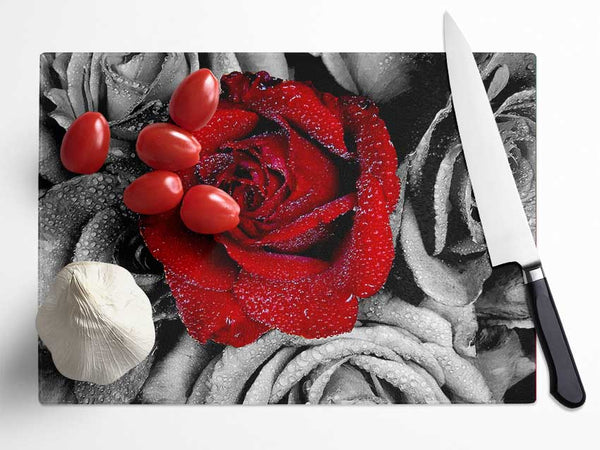 Red Rose On A Sea Of B n W Glass Chopping Board