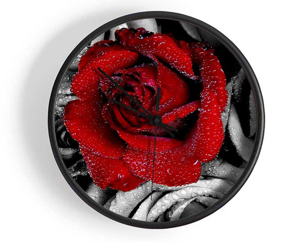 Red Rose On A Sea Of B n W Clock - Wallart-Direct UK