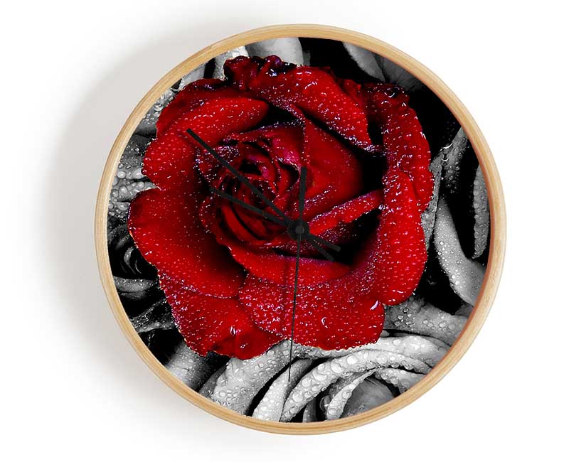 Red Rose On A Sea Of B n W Clock - Wallart-Direct UK