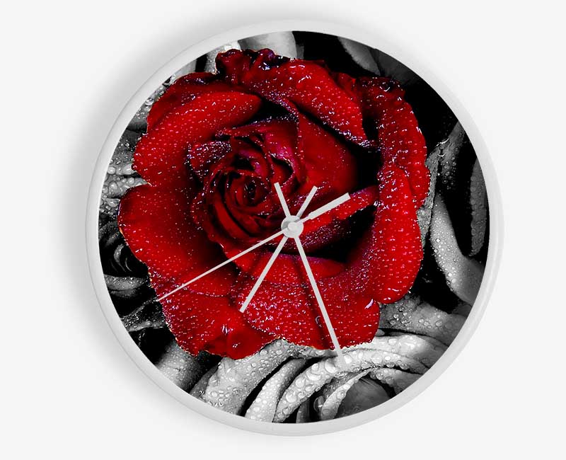 Red Rose On A Sea Of B n W Clock - Wallart-Direct UK