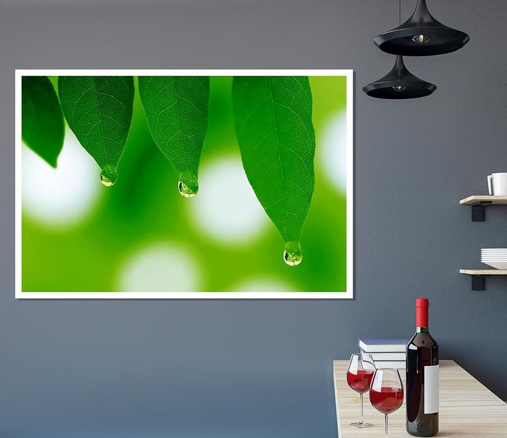 Trio Dewdrop Leaf Print Poster Wall Art