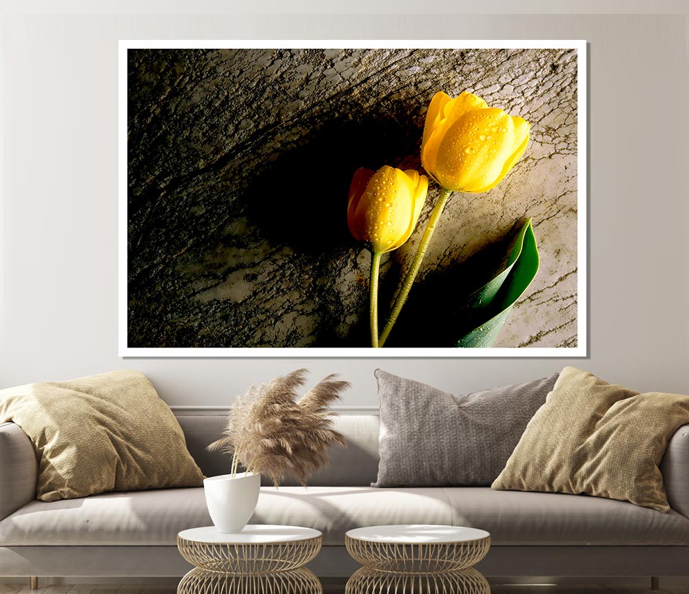 Yellow Tulip Duo Print Poster Wall Art