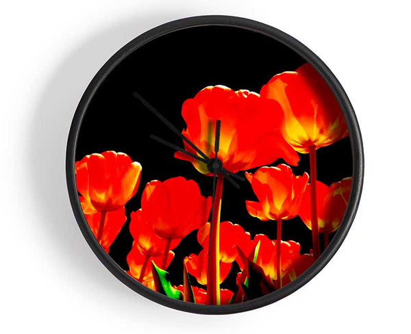 Orange Tulips Black Skies Clock - Wallart-Direct UK