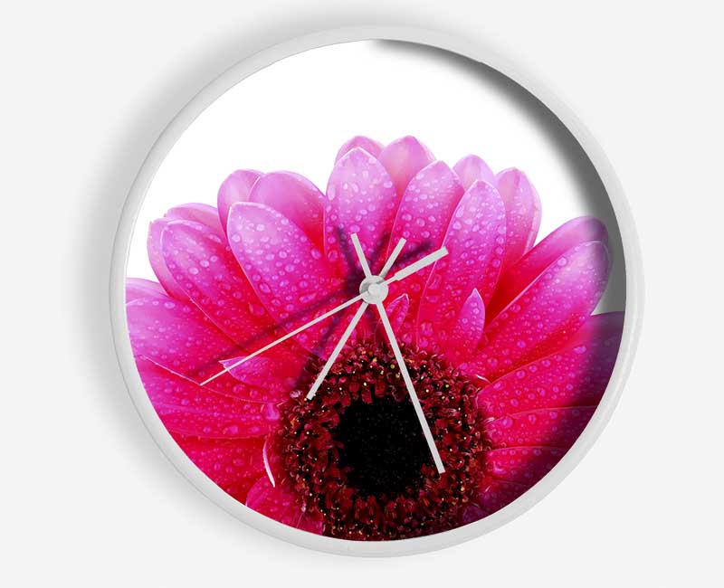 Pink Petal Dew Drop Gerbera Clock - Wallart-Direct UK