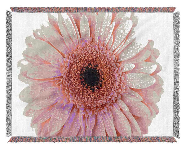 Baby Pink Dew Drop Gerbera Woven Blanket