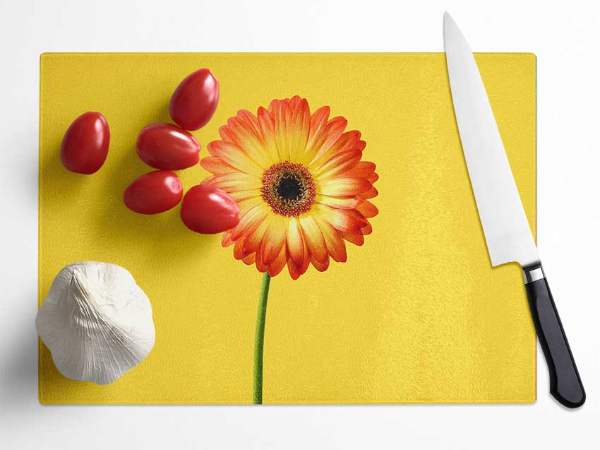 Orange Gerbera On Yellow Glass Chopping Board