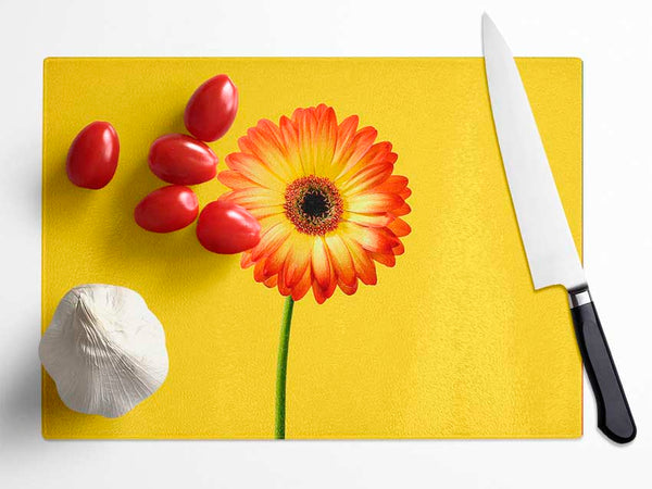 Orange Gerbera On Yellow Glass Chopping Board