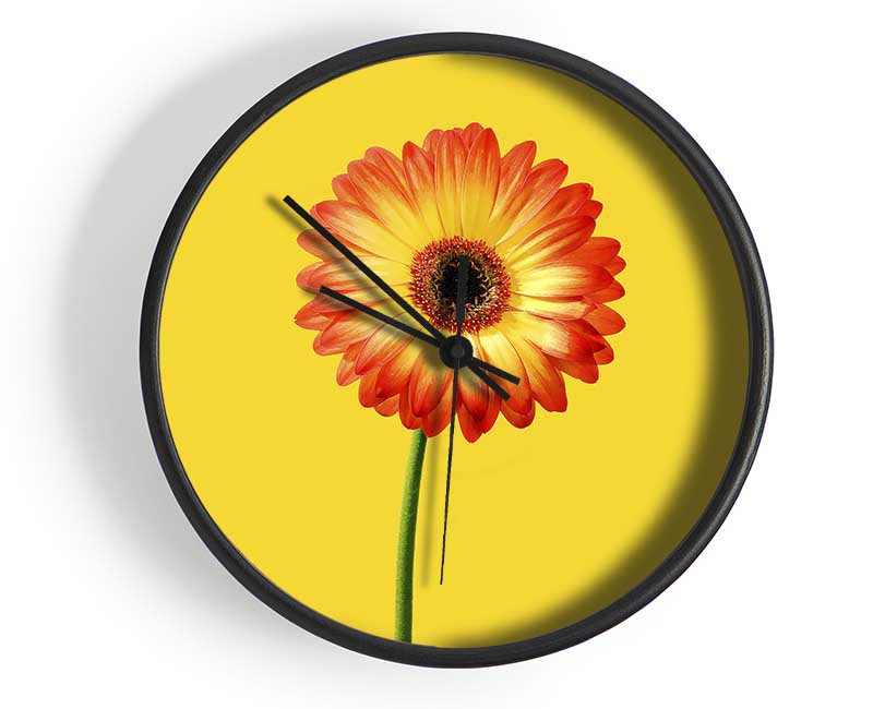 Orange Gerbera On Yellow Clock - Wallart-Direct UK