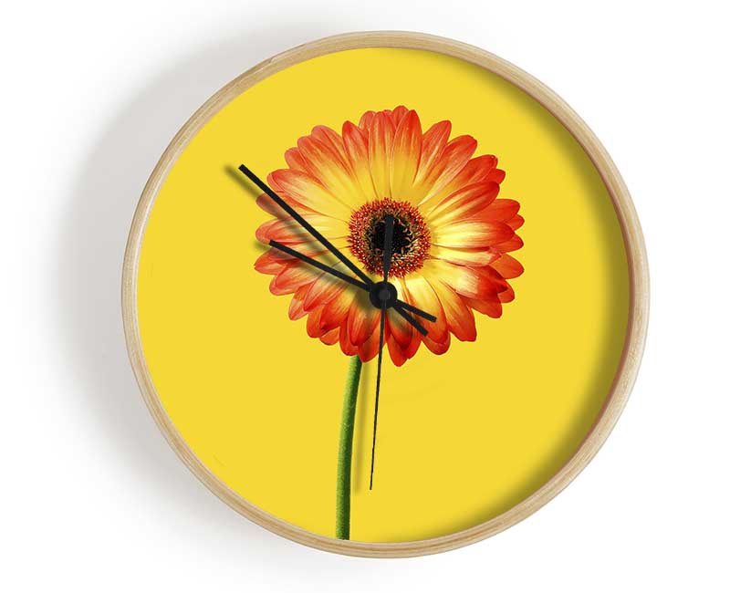 Orange Gerbera On Yellow Clock - Wallart-Direct UK