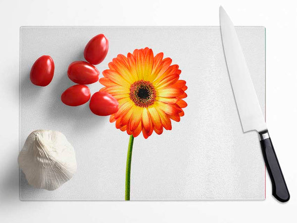 Orange Gerbera On White Glass Chopping Board