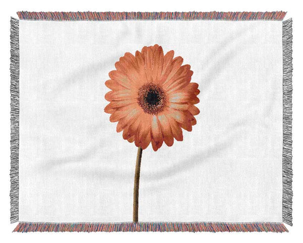 Orange Gerbera On White Woven Blanket