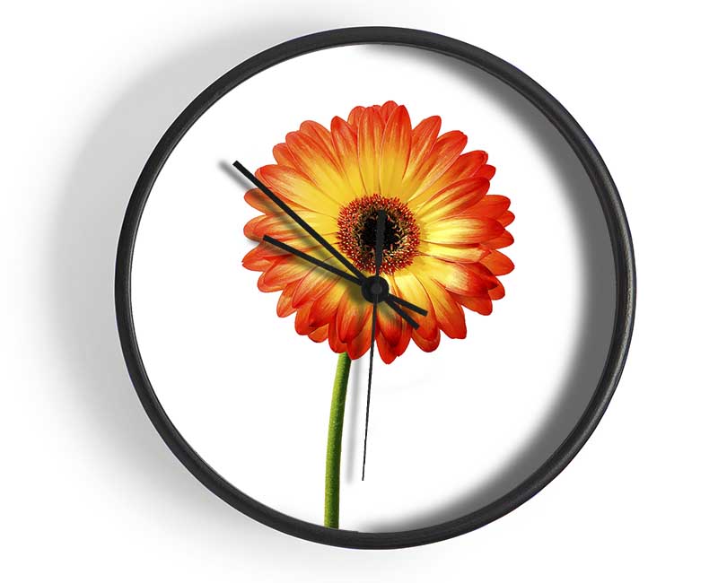 Orange Gerbera On White Clock - Wallart-Direct UK