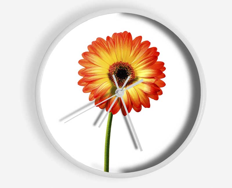 Orange Gerbera On White Clock - Wallart-Direct UK